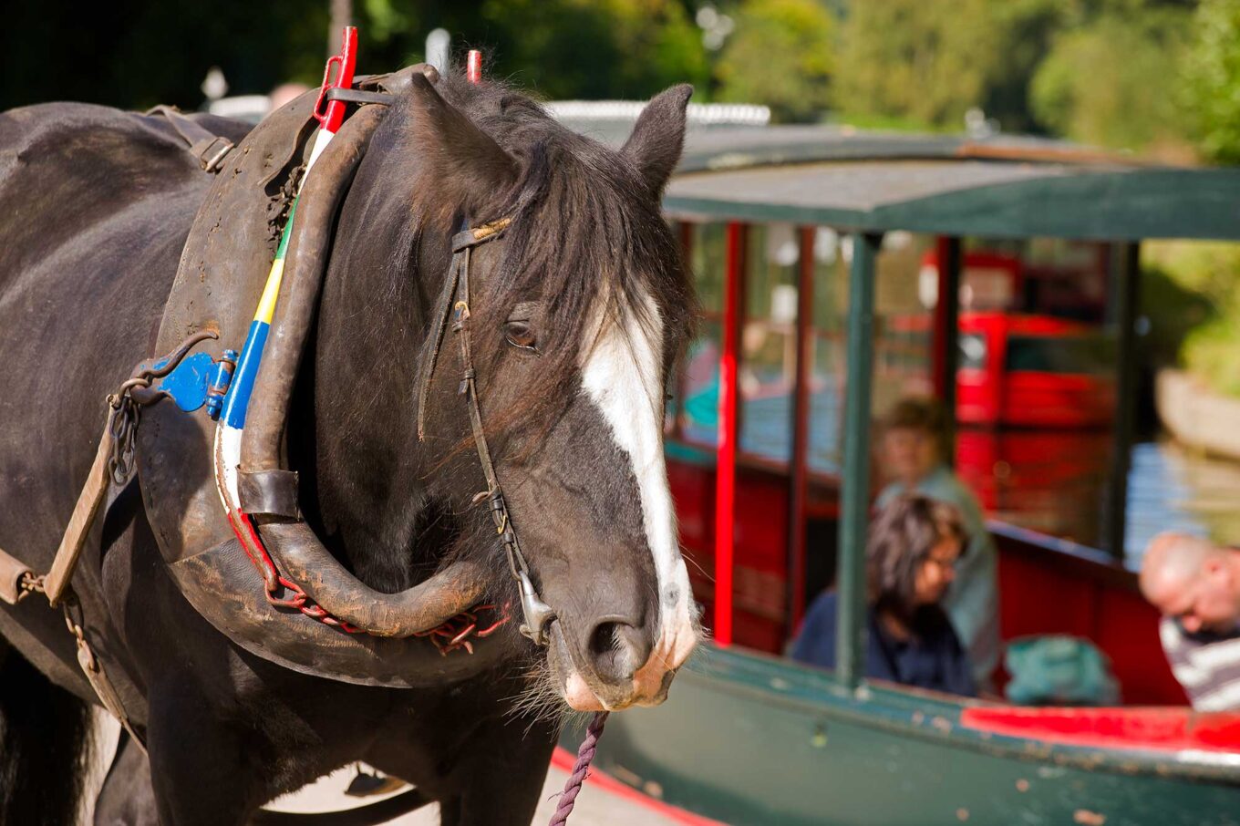 *boat and horse at Llangollen Wharf