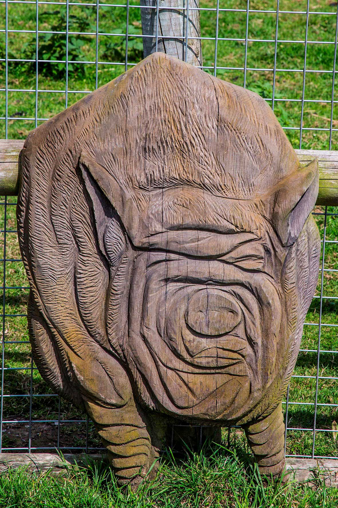 *carved pig at ty mawr childrens farm
