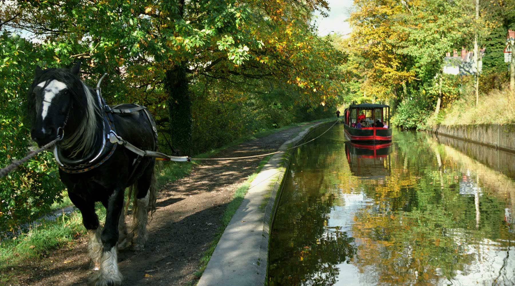 *horsedrawn narrowboat llangollen canal