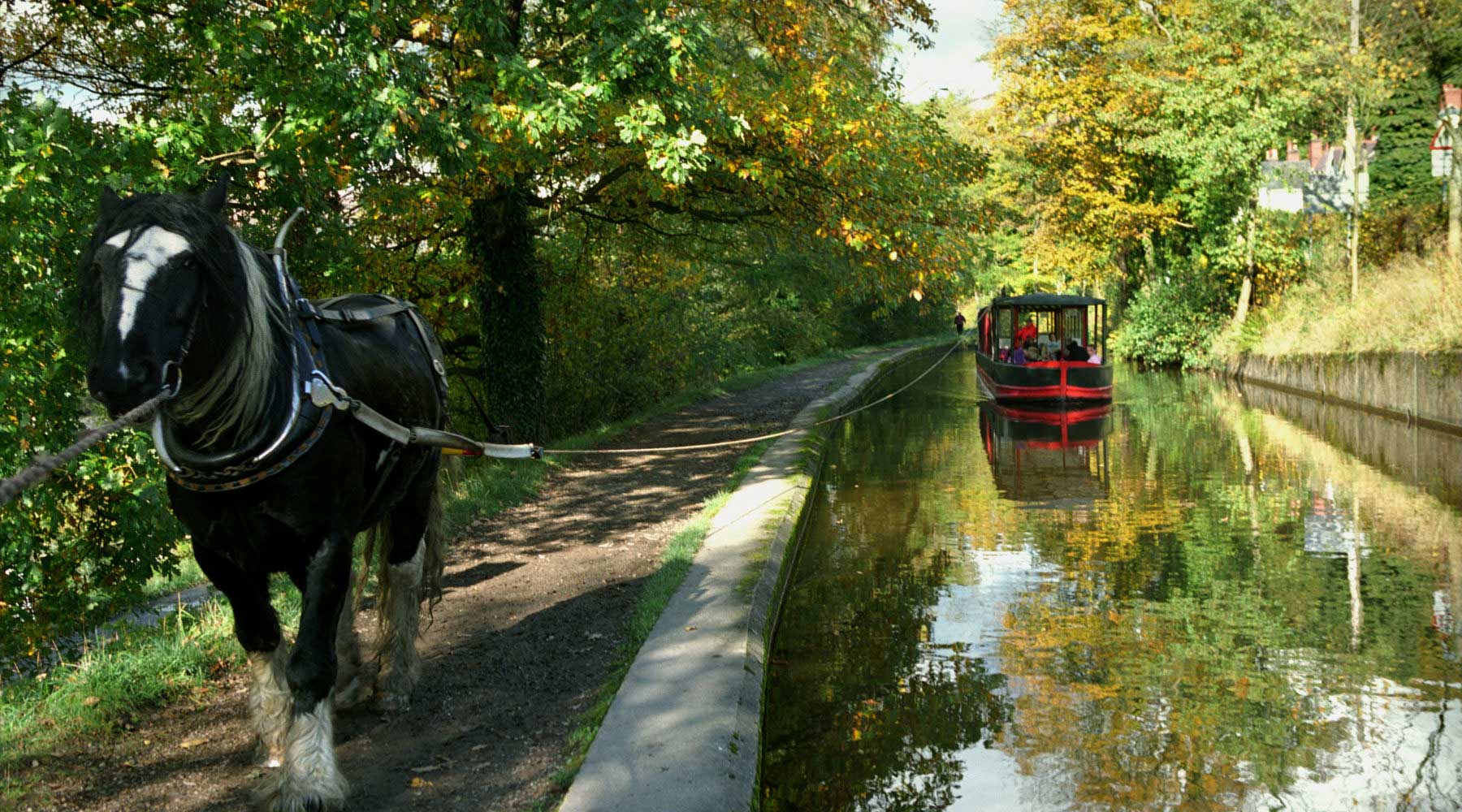 llangollen horse drawn canal trips