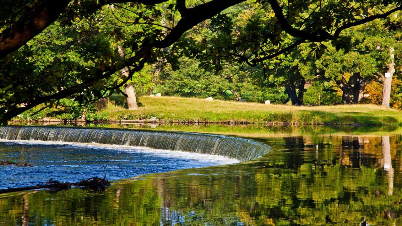 *horseshoe falls