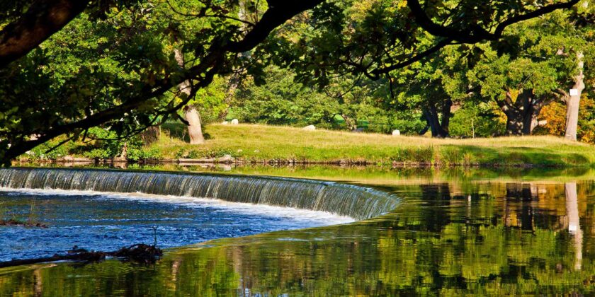 *horseshoe falls