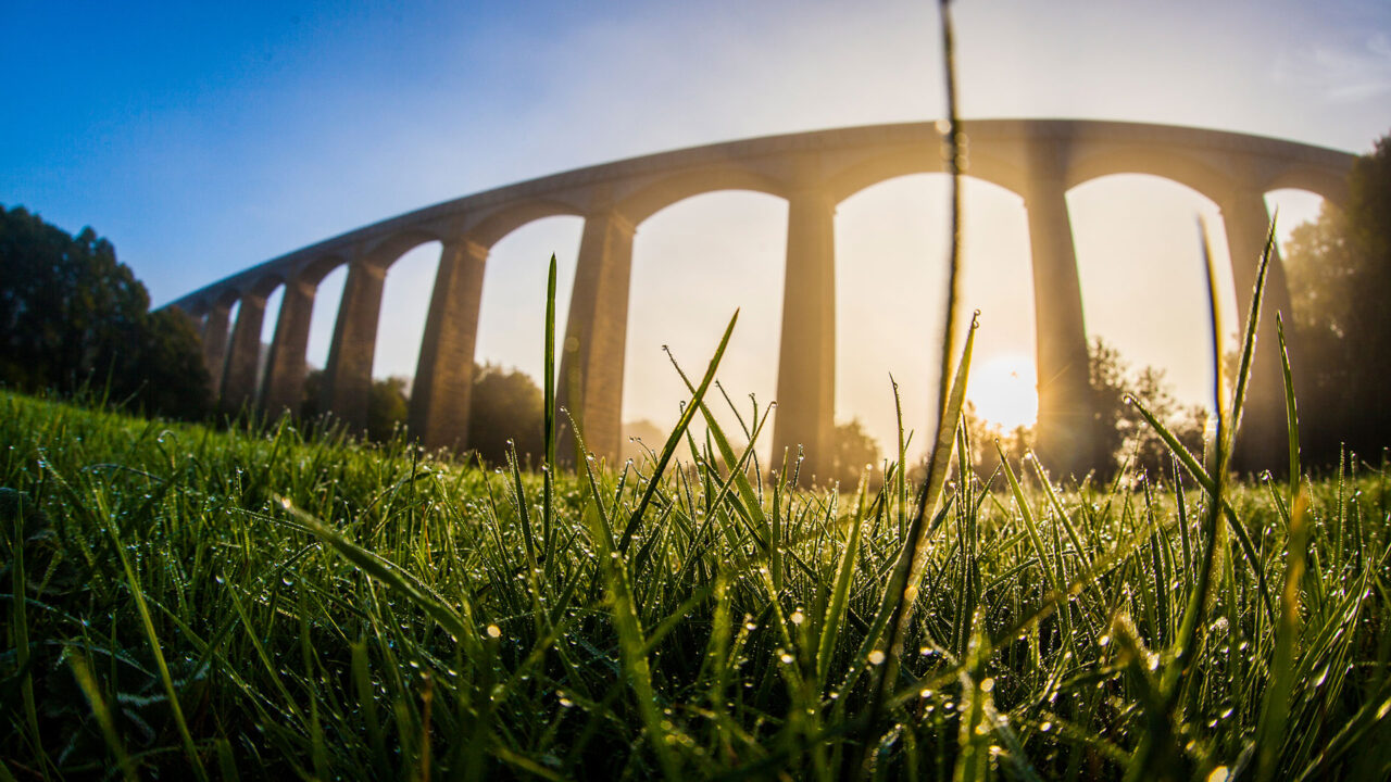 Gwlith yn gynnar yn y bore ar y gwair wrth draphont ddŵr Pontcysyllte / Early morning dew on the grass at the Pontcysyllte aqueduct