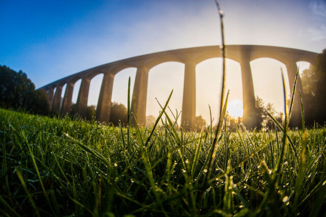 Gwlith yn gynnar yn y bore ar y gwair wrth draphont ddŵr Pontcysyllte / Early morning dew on the grass at the Pontcysyllte aqueduct