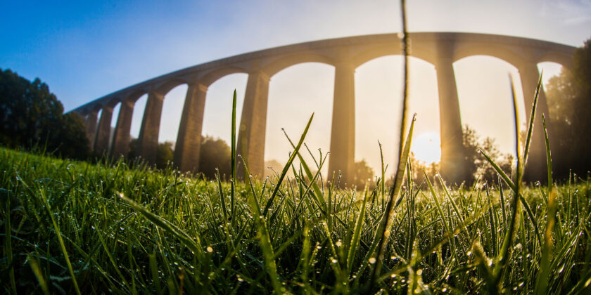 Gwlith yn gynnar yn y bore ar y gwair wrth draphont ddŵr Pontcysyllte / Early morning dew on the grass at the Pontcysyllte aqueduct