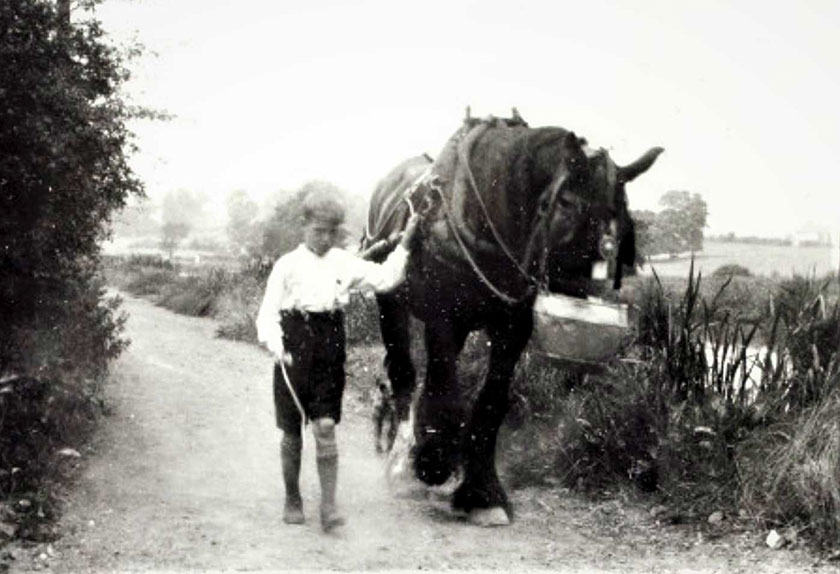 Child with horse