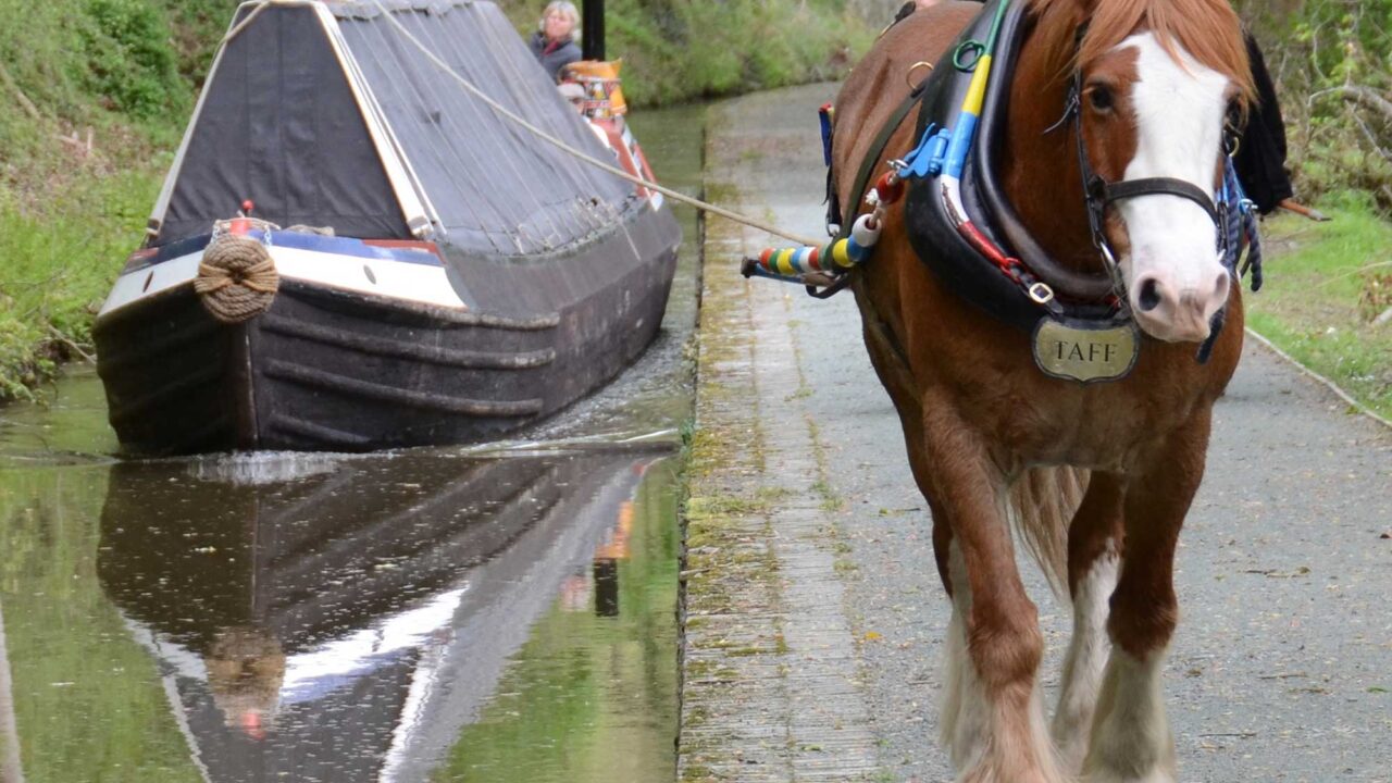 'Saturn' on Llangollen Canal