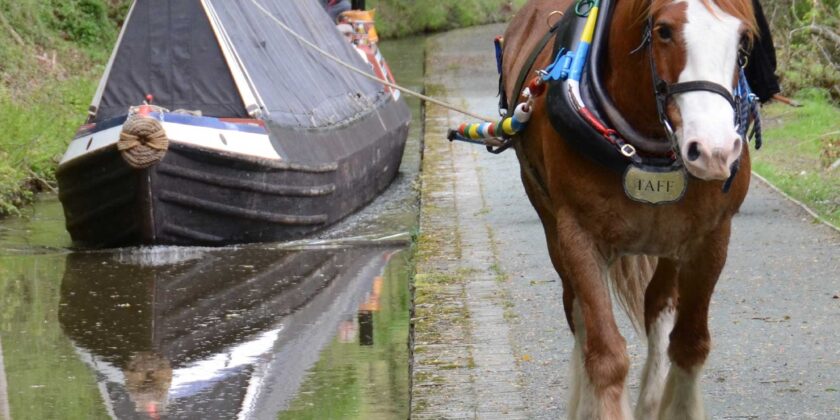 'Saturn' on Llangollen Canal