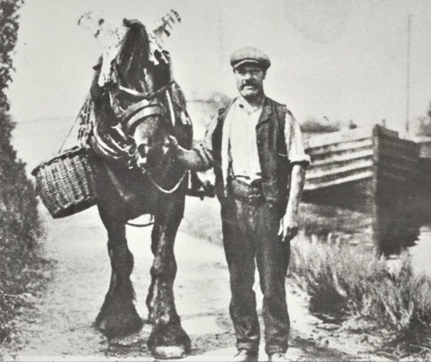 Crochet hats and blinkers