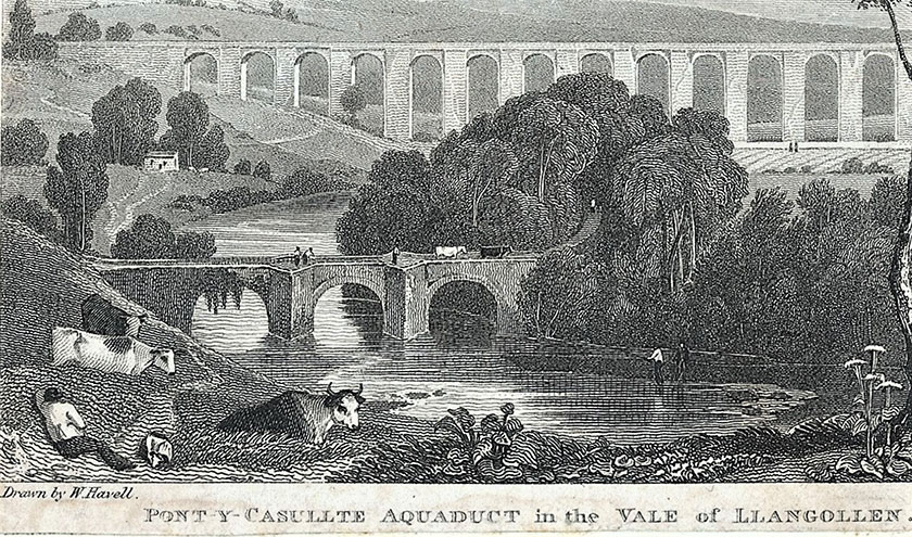 Manylion ysgythriad Havell Detail of Havell engraving