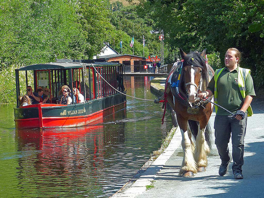 Cwch fodern yn cael ei thynnu gan geffyl Modern horse drawn boat