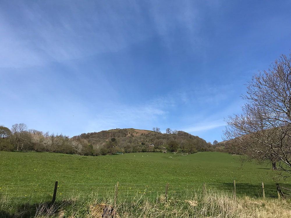 llangollen barge trips