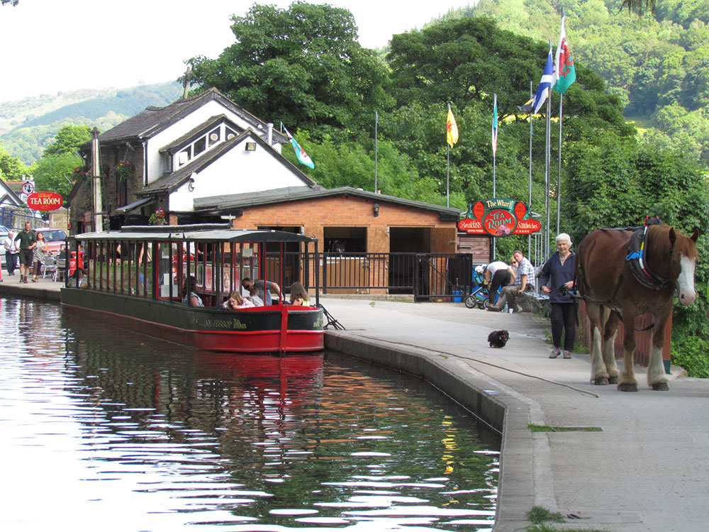 llangollen horse drawn canal trips