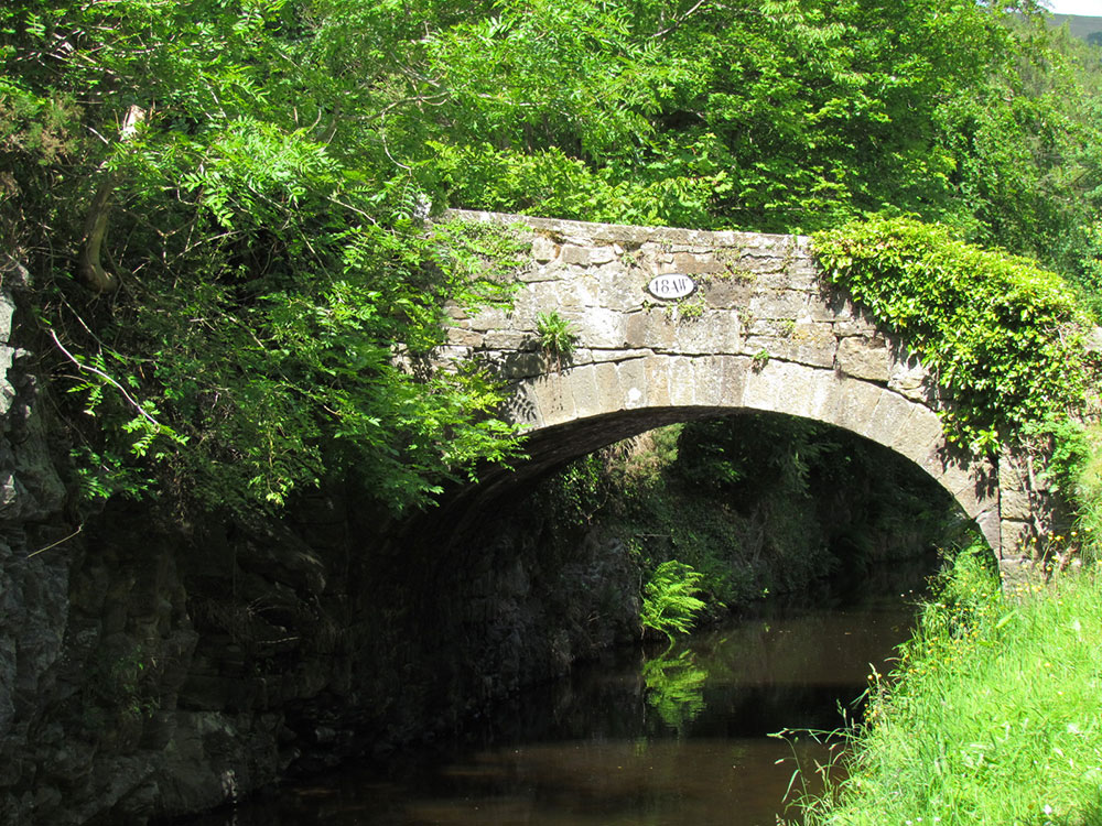 Ty Craig Bridge