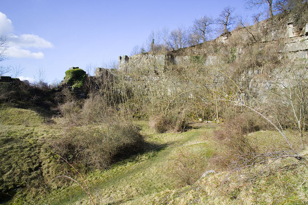 llangollen barge trips